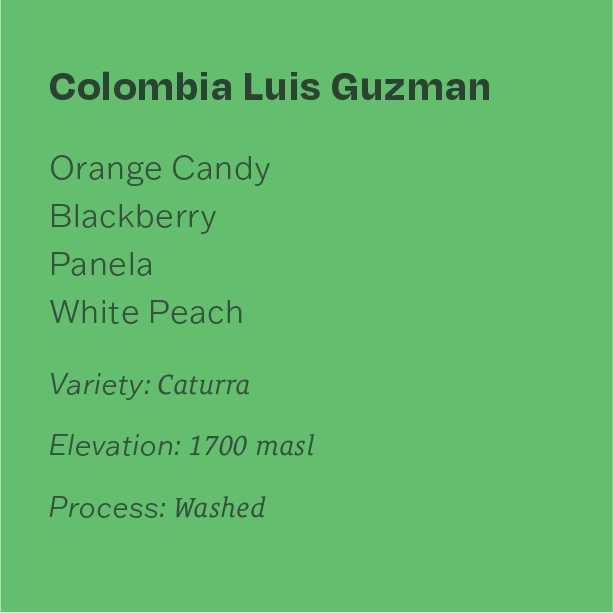 Colombia Luis Guzman Washed