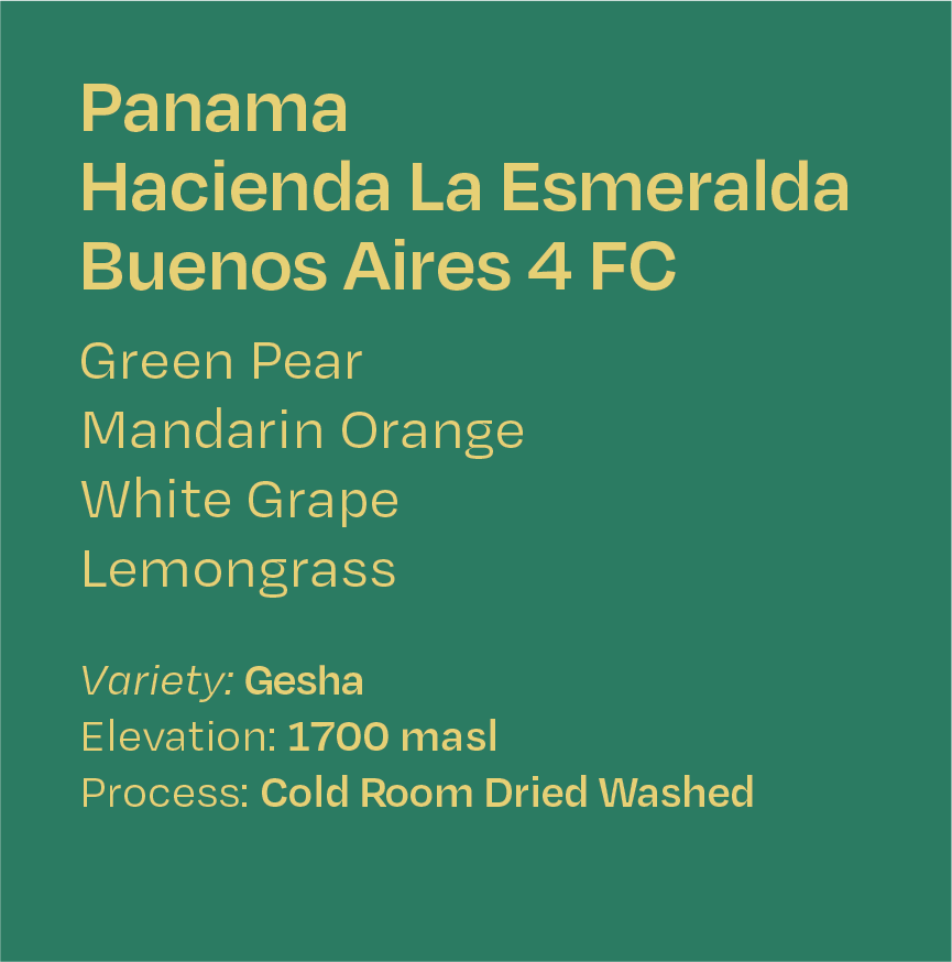 Panama Hacienda La Esmeralda Buenos Aires 4 FC Gesha