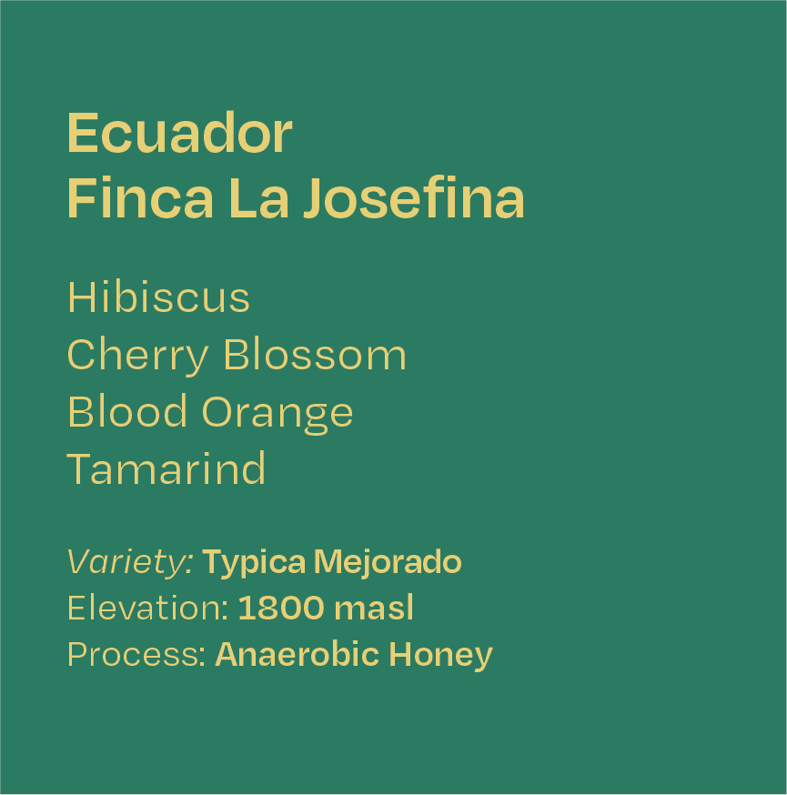 Ecuador Finca La Josefina Anaerobic Honey Typica Mejorado