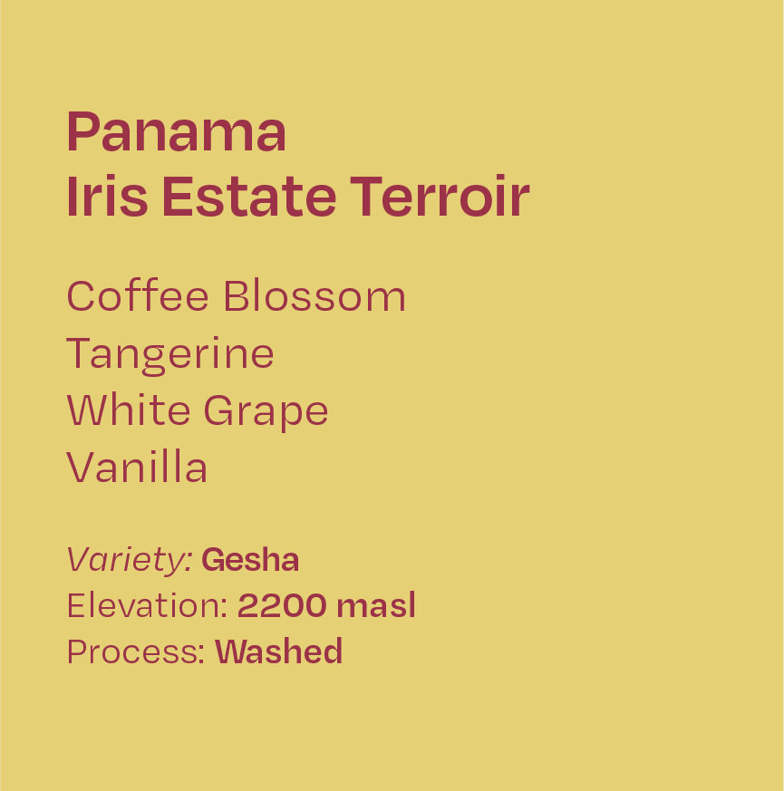 Panama Iris Estate Terroir Washed Gesha