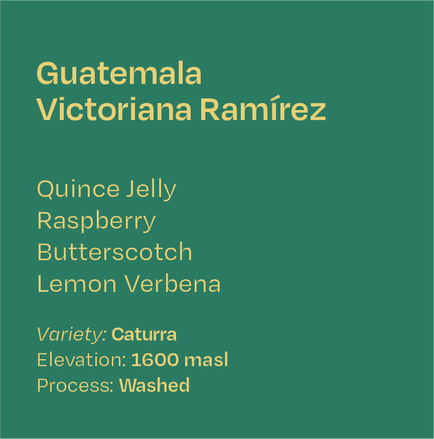 Guatemala Victoriana Ramirez Washed Caturra