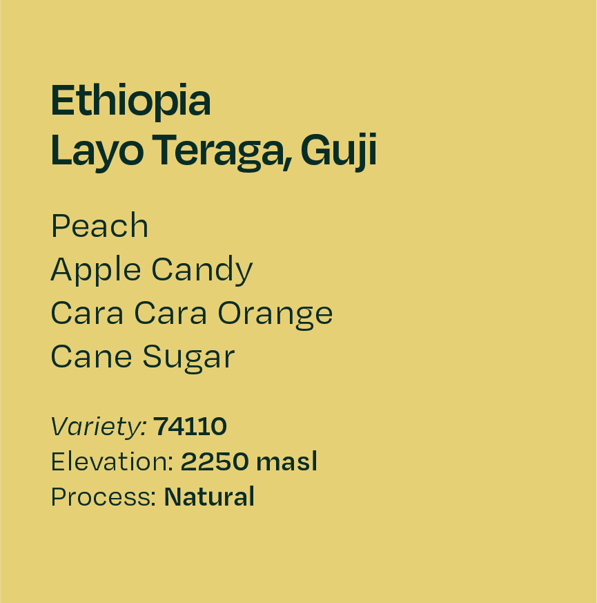 Ethiopia, Layo Teraga, Natural 74110