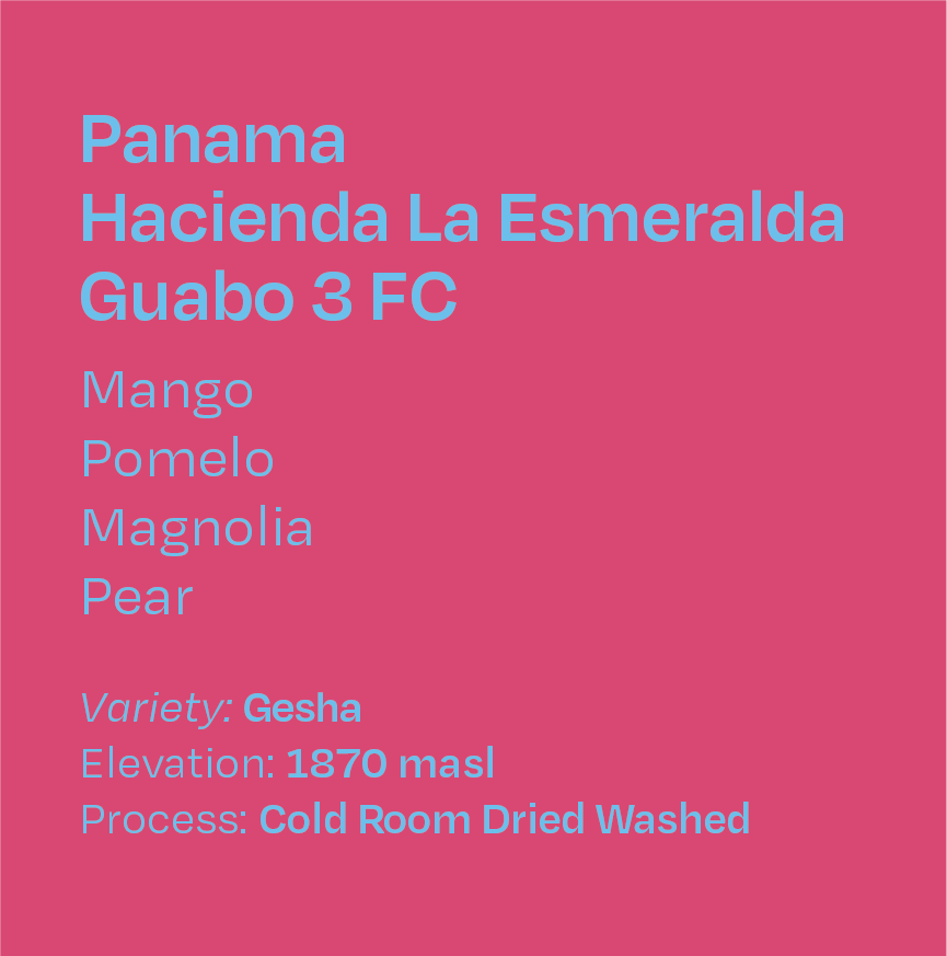 Panama Hacienda La Esmeralda Guabo 3 FC Gesha