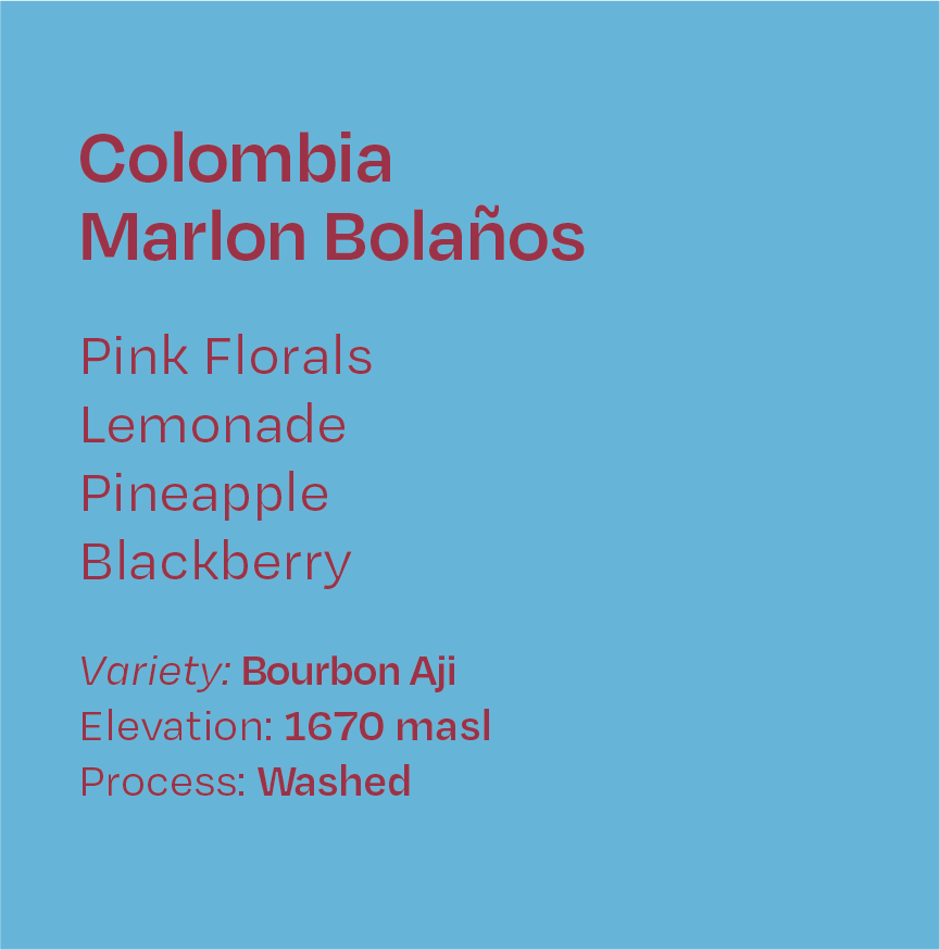 Colombia Marlon Bolaños Washed Bourbon Aji