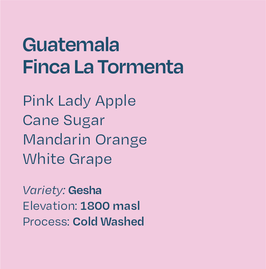 Guatemala Finca La Tormenta Cold Washed Gesha