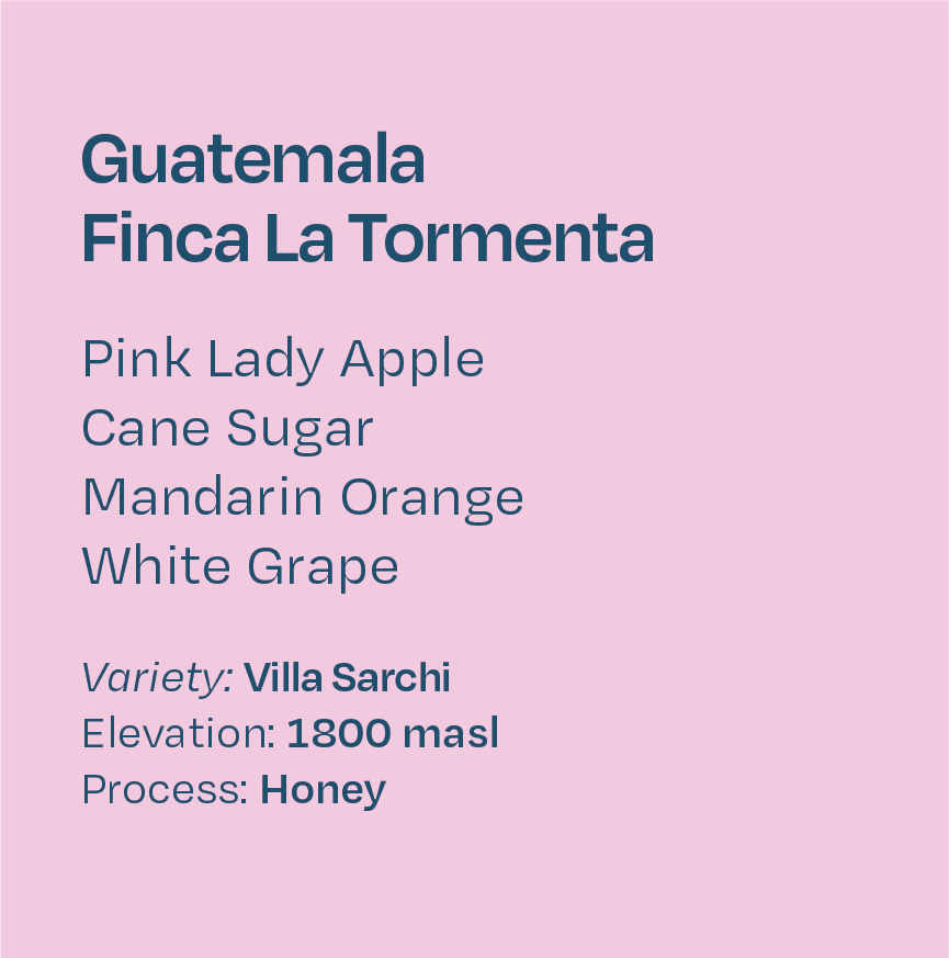 Guatemala Finca La Tormenta Honey Villa Sarchi