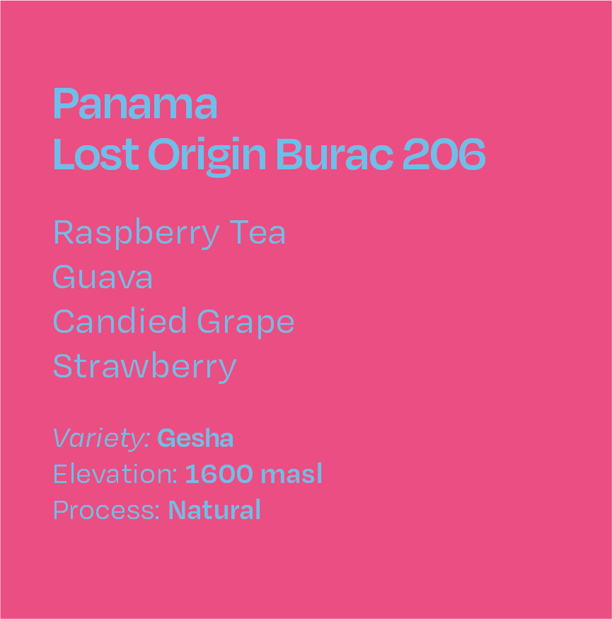 Panama Lost Origin Burac Natural Gesha 206