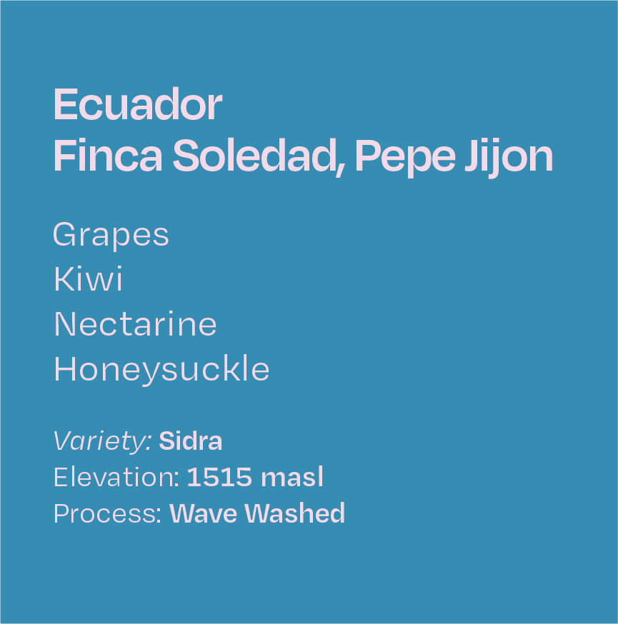 Ecuador Finca Soledad, Pepe Jijon, Wave Washed Sidra #22/32