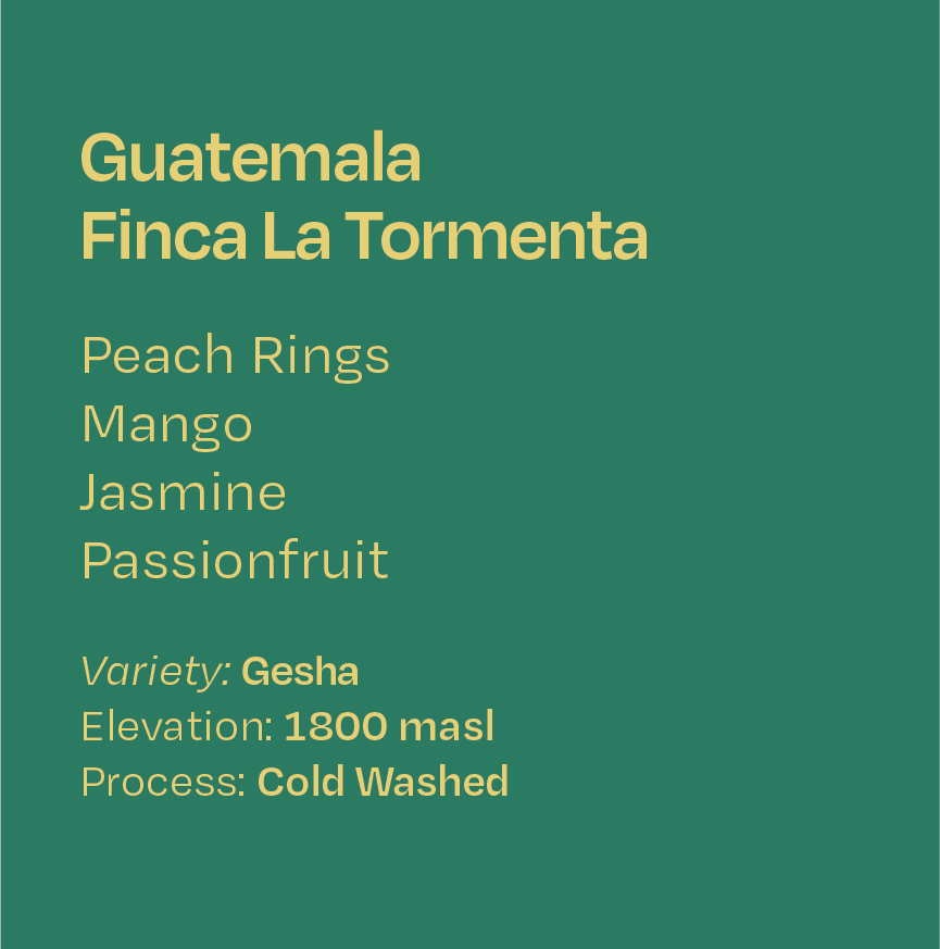 Guatemala Finca La Tormenta Cold Washed Gesha