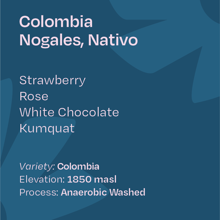 Colombia Nogales Nativo, Colombia