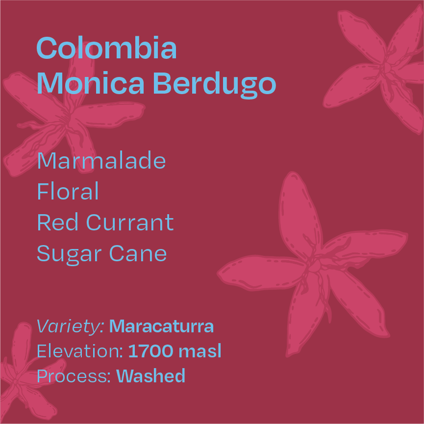 Colombia Monica Berdugo Washed Maracaturra