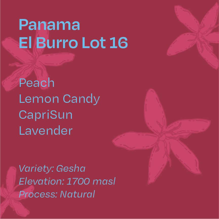 Panama El Burro Lot 16 Natural Gesha