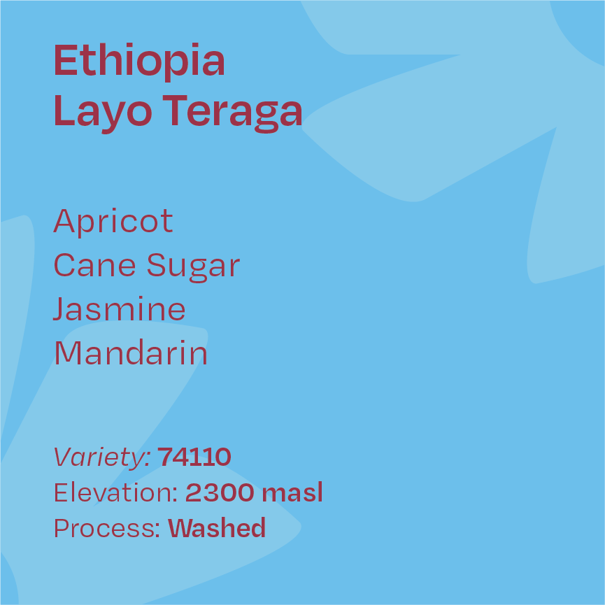 Ethiopia Layo Teraga