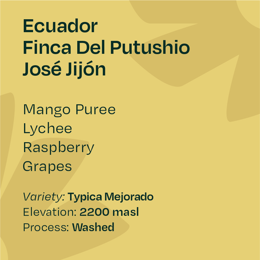 Ecuador Finca Del Putushio Typica Mejorado