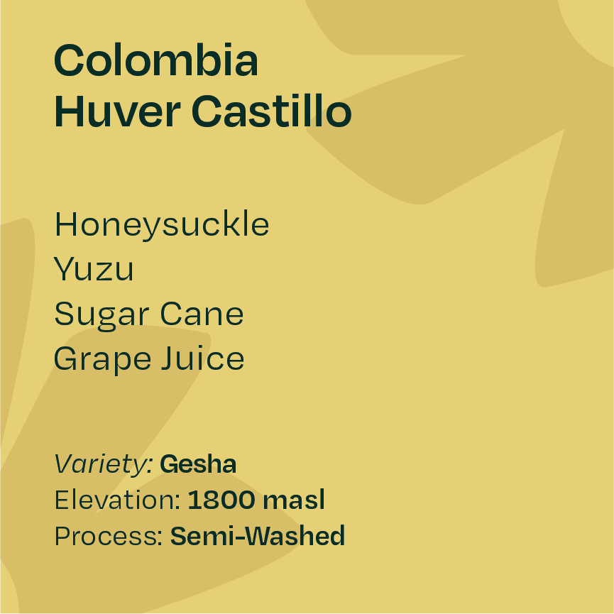 Colombia Huver Castillo Gesha