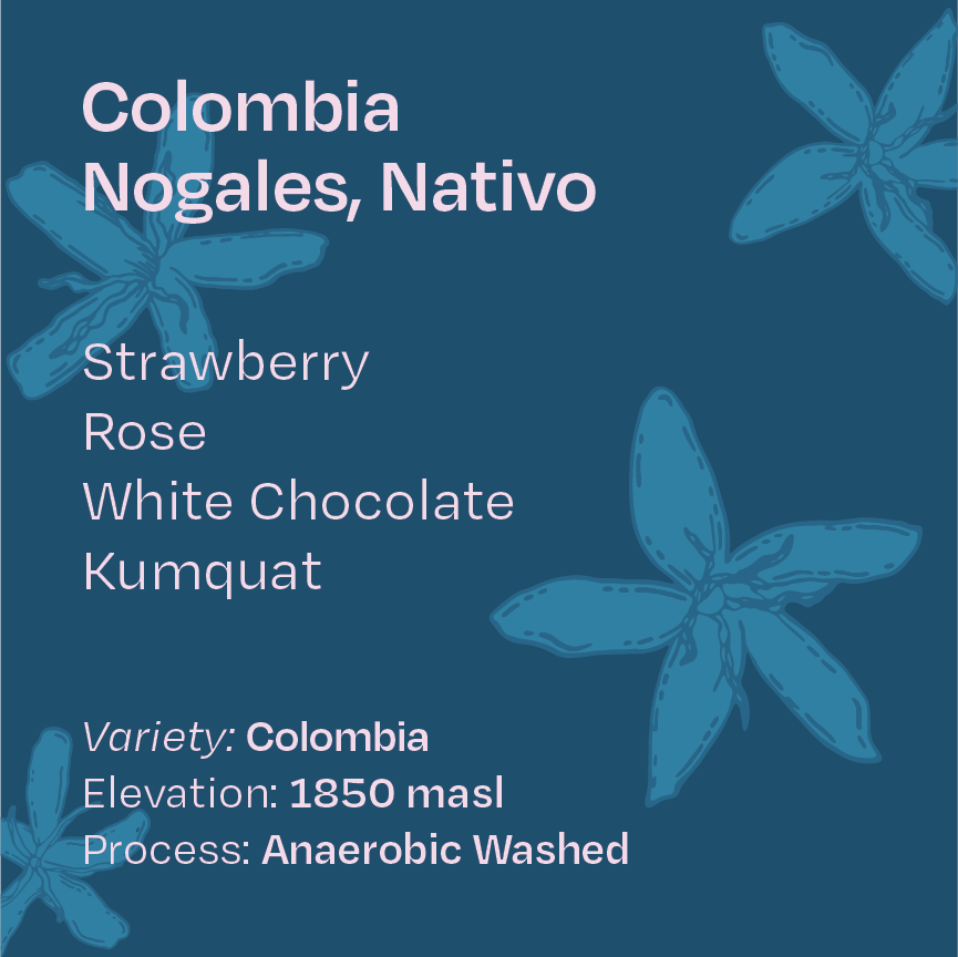 Colombia Nogales Nativo, Colombia