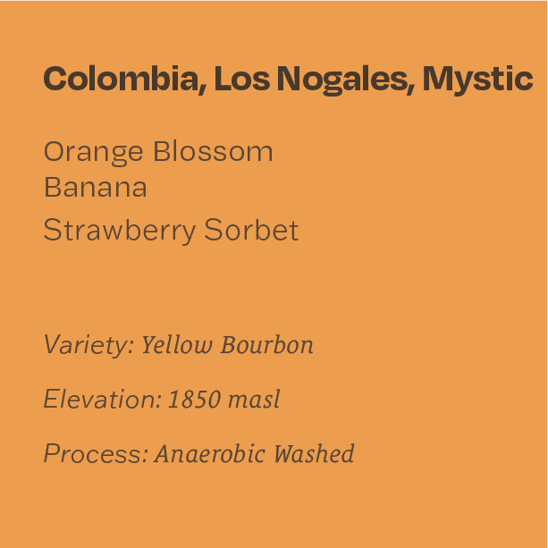 Colombia Los Nogales Yellow Bourbon