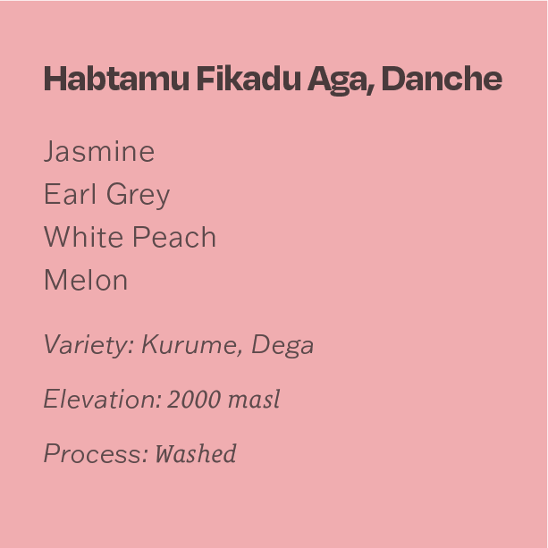 Ethiopia Habtamu Fikadu Aga, Danche