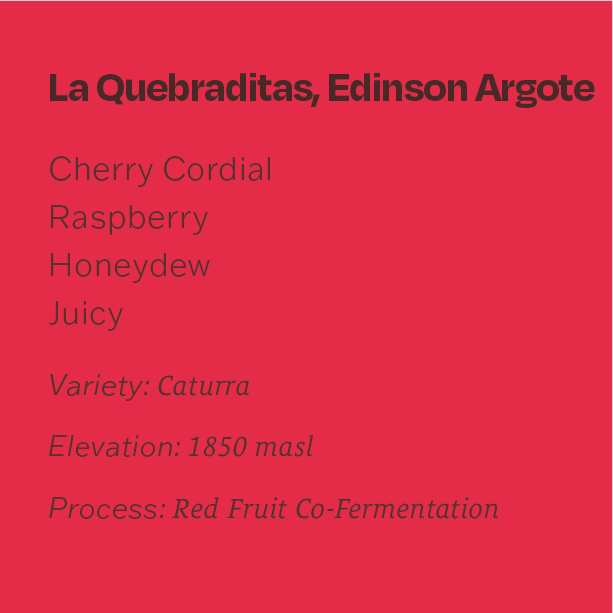 Colombia Edinson Argote Red Fruit Caturra