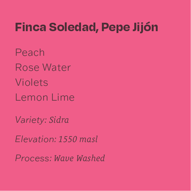 Ecuador Pepe Jijón Sidra Wave