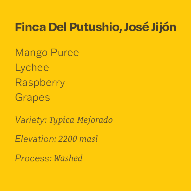 Ecuador Finca Del Putushio Typica Mejorado