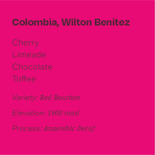 Colombia Wilton Benitez Decaf