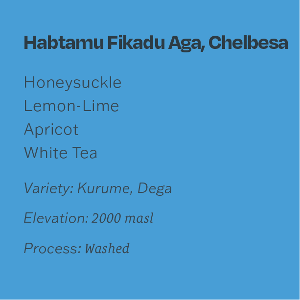 Ethiopia Habtamu Fikadu Aga, Chelbesa