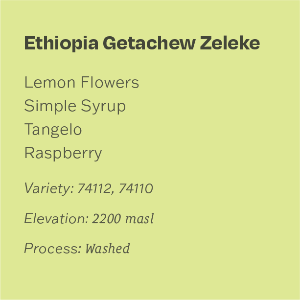 Ethiopia Getachew Zeleke, Tero Farm
