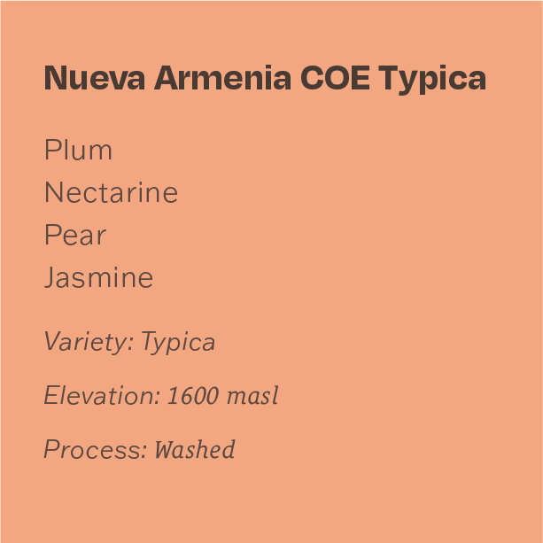 Guatemala Finca Nueva Armenia COE Typica