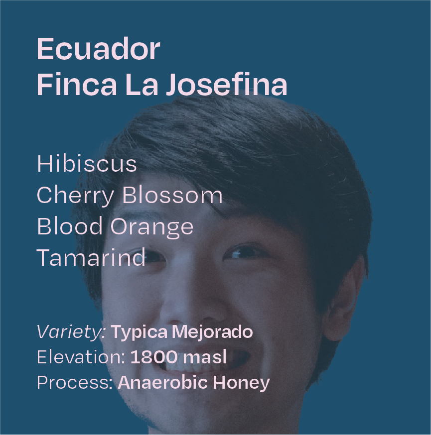 B.Q. Ecuador Finca La Josefina Anaerobic Honey Typica Mejorado