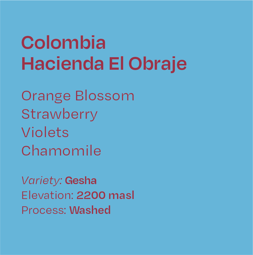 Colombia Hacienda El Obraje Washed Gesha