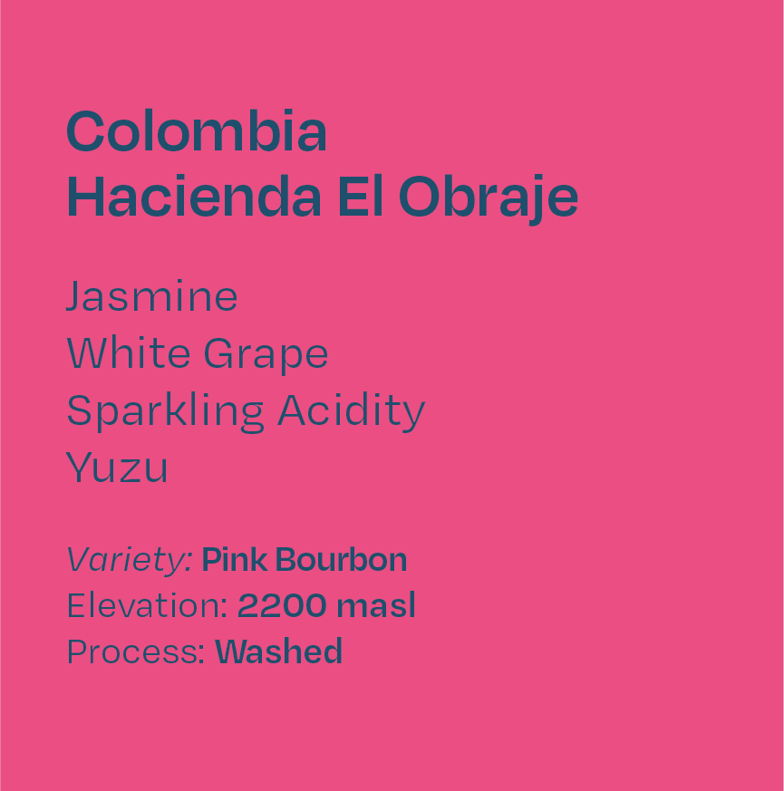 Colombia Hacienda El Obraje Washed Pink Bourbon