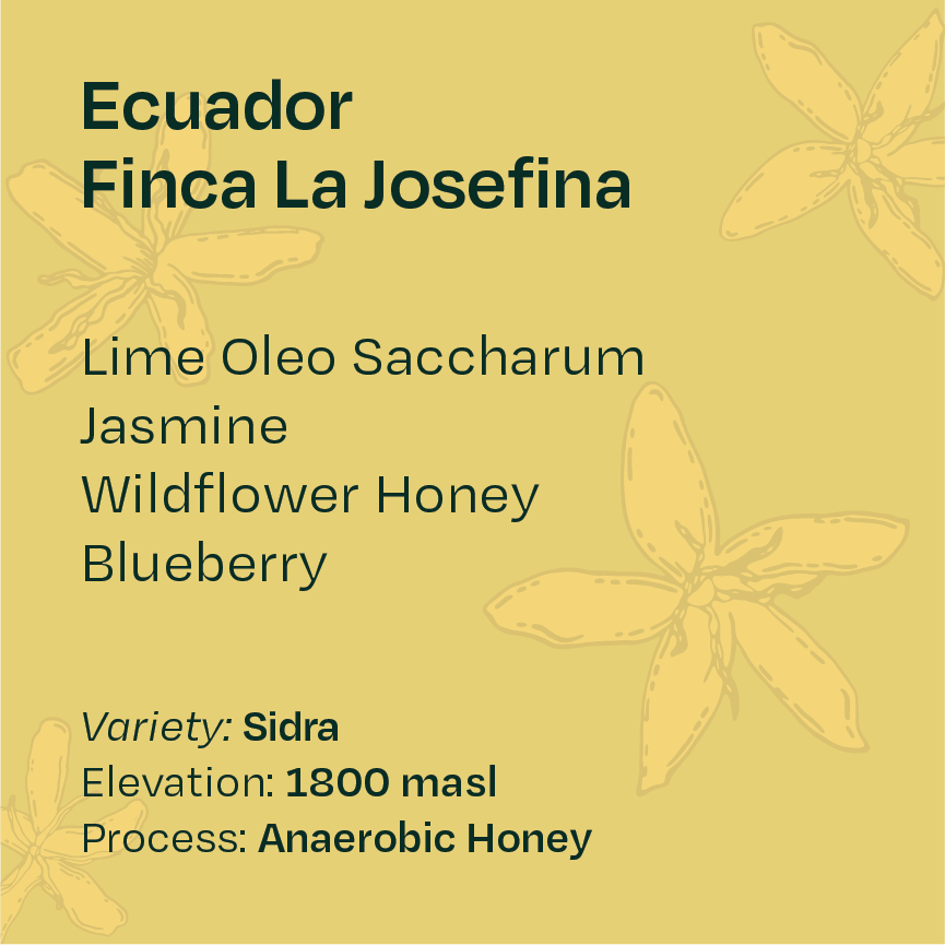 Ecuador Finca La Josefina Anaerobic Honey Sidra